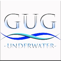 Beach Area Businesses Gug Underwater Gallery in Lauderdale-by-the-Sea FL