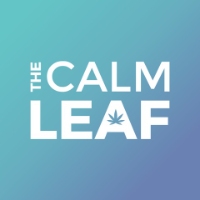 Beach Area Businesses The Calm Leaf in Hollywood FL
